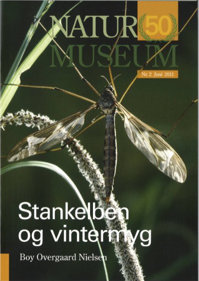 Stankelben og vintermyg